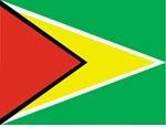 3' x 5' Guyana Flag