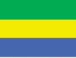 2' x 3' Gabon flag