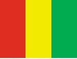 3' x 5' Guinea Flag