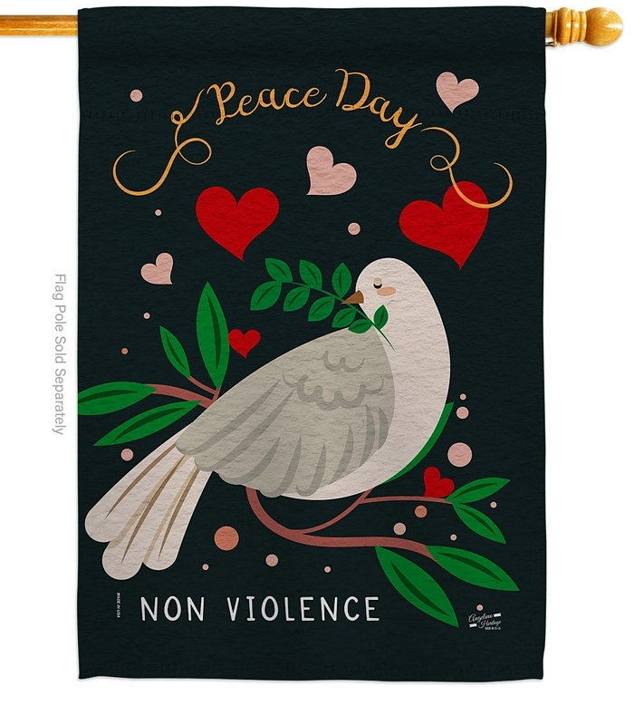 Peace No Violence House Flag