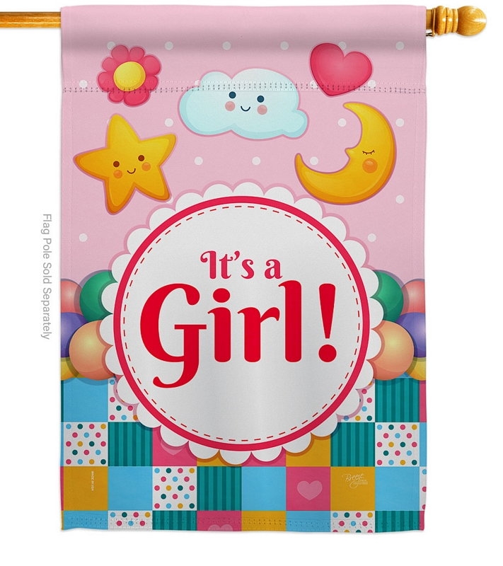 It's A Baby Girl House Flag