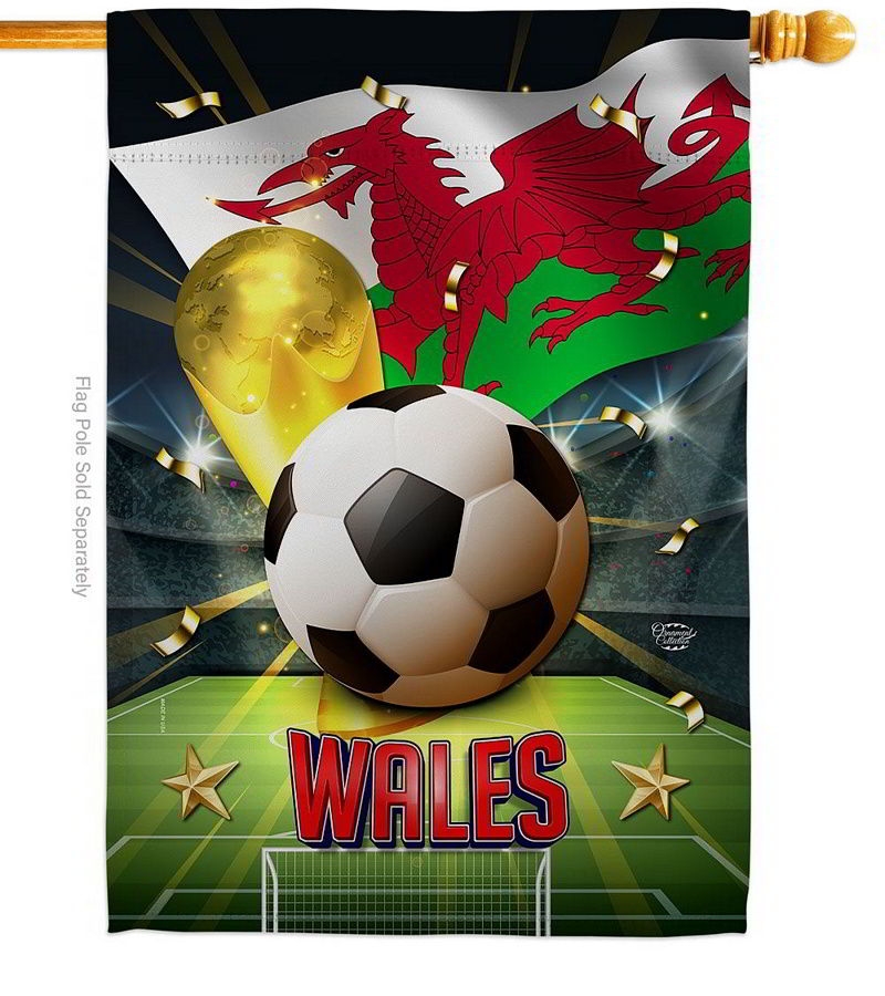 World Cup Wales House Flag