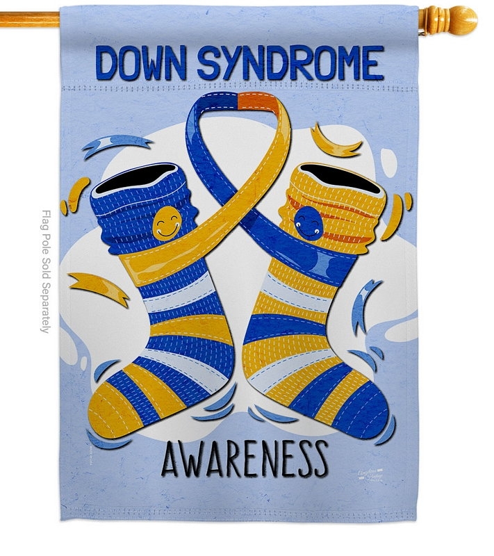Down Syndrome House Flag