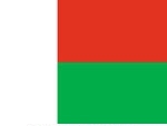 2' x 3' Madagascar flag