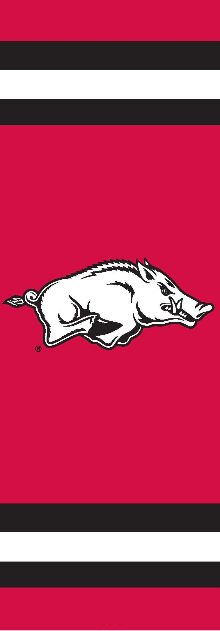 Arkansas Razorbacks Post Banner 30" x 11"