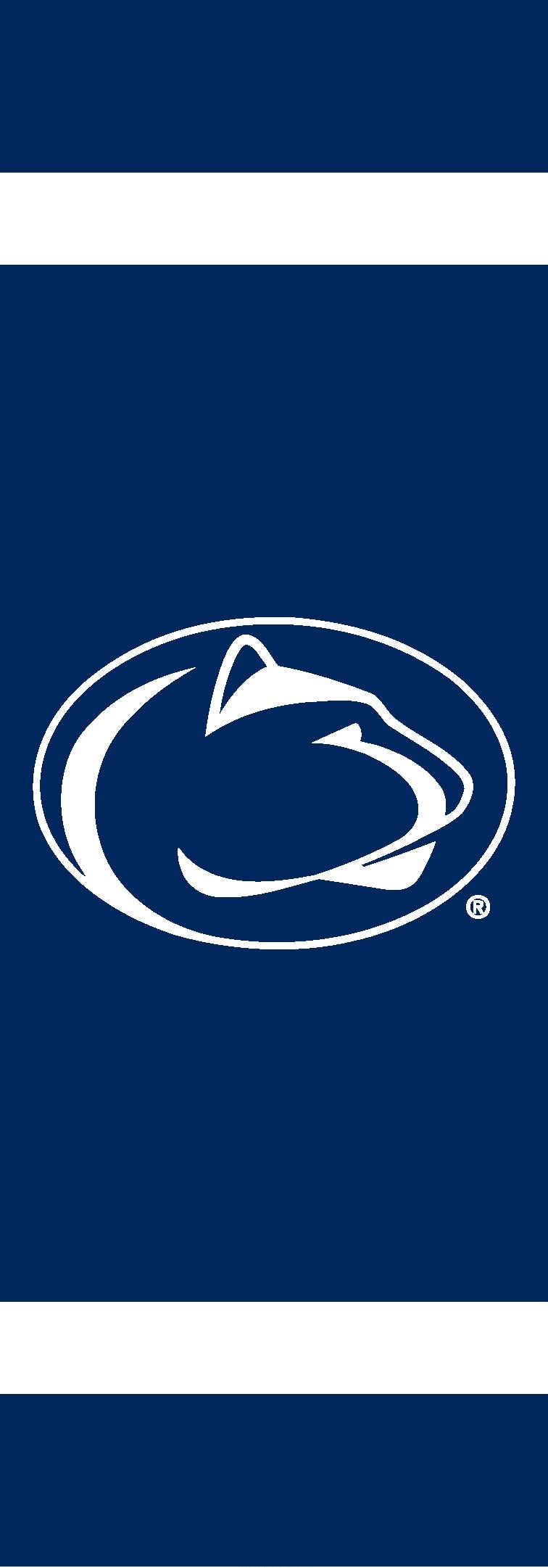 Penn State Nittany Lions Post Banner 30" x 11"
