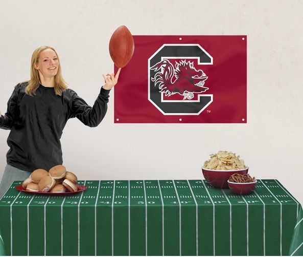 South Carolina Gamecocks Party Kit