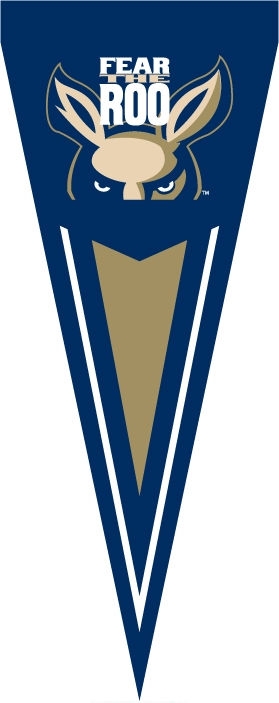 Akron Zips Yard Pennant 34" x 14"
