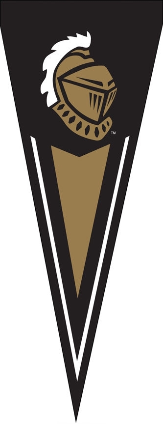 Central Florida Yard Pennant 34" x 14"
