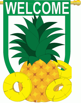 Pineapple Welcome applique Garden Flag - 1 left