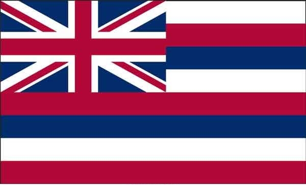 2' x 3' Hawaii State High Wind, US Made Flag