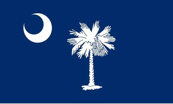 2' x 3' South Carolina State High Wind, US Made Flag