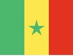 2' x 3' Senegal flag