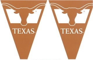 Texas Party Pennant Flag Set (25')