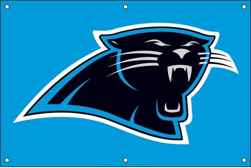 Panthers Fan Banner 2ft x 3ft
