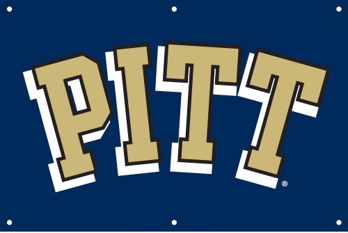 Pittsburgh Panthers Fan Banner 2' x 3'