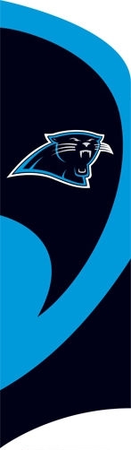 Panthers Tall Team Flag 8.5' x 2.5'