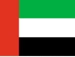 2' x 3' United Arab Emirates flag