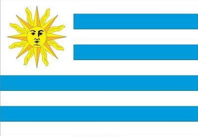 2' x 3' Uruguay flag