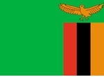 2' x 3' Zambia flag