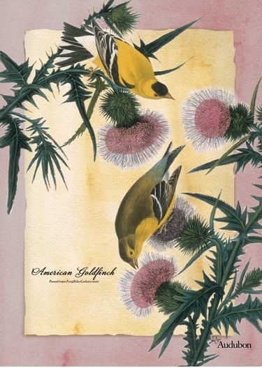 American Goldfinch House Flag - 1 left