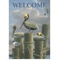 Pelican Duo House Flag