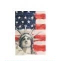 Statue Of Liberty Garden Flag