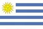 3' x 5' Uruguay Flag