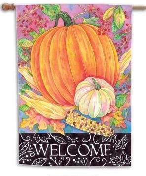 Welcome Bounty House Flag - 1 left