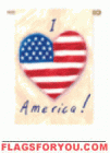I Heart America House Flag