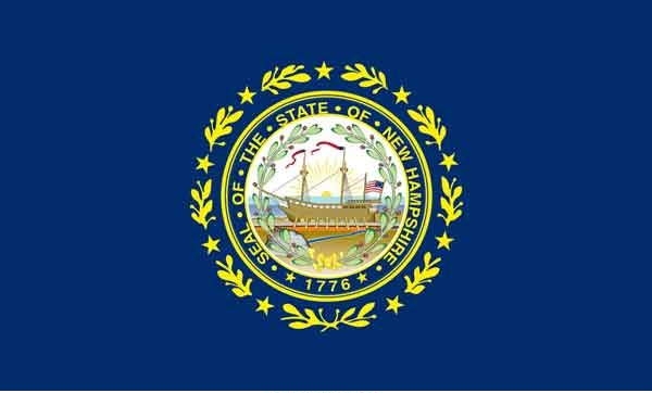 5\' x 8\' New Hampshire State High Wind, US Made Flag