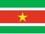 2\' x 3\' Suriname flag