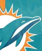 Miami Dolphins Flags