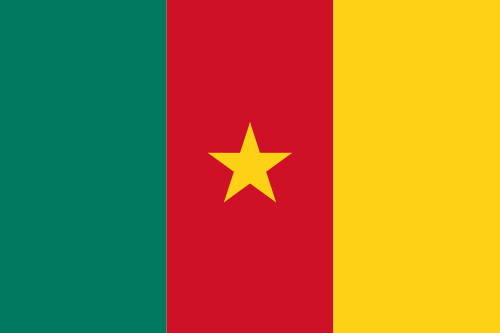 Cameroon Flag